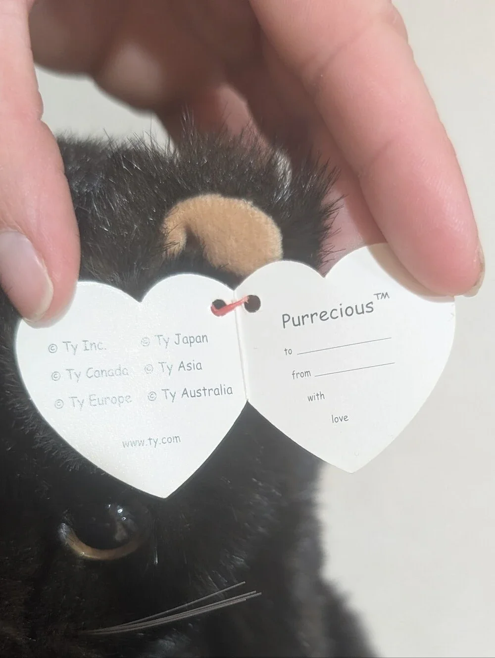 Ty Black Plush Kitten with Tan Accents